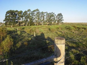 Chacra en venta en Colonia, Uruguay