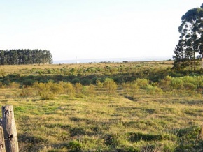 Chacra en venta en Colonia, Uruguay