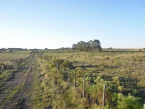 Chacra en venta en Colonia, Uruguay