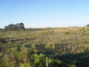 Chacra en venta en Colonia, Uruguay