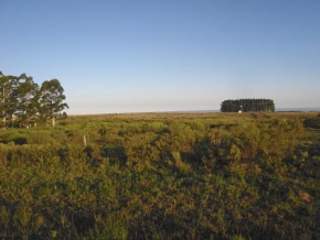 Chacra en venta en Colonia, Uruguay