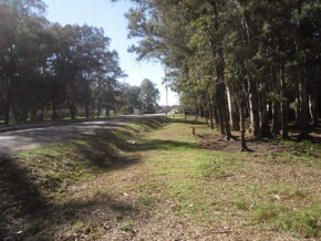 Lot for sale in Colonia, Uruguay