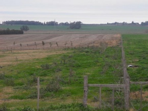 Chacra en venta en Colonia, Uruguay