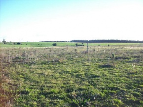 Land for sale in Colonia, Uruguay