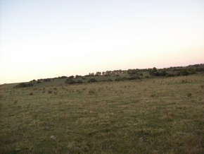 Land for sale in Colonia, Uruguay