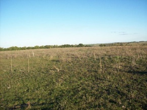 Land for sale in Colonia, Uruguay