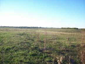 Land for sale in Colonia, Uruguay
