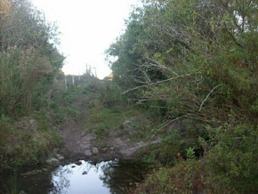Land for sale in Colonia, Uruguay
