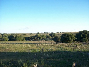 Land for sale in Colonia, Uruguay