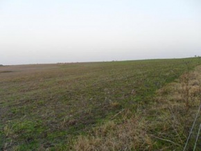 Land for sale in Colonia, Uruguay
