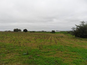 Land for sale in Colonia, Uruguay