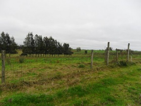 Land for sale in Colonia, Uruguay