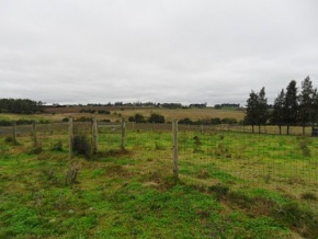 Land for sale in Colonia, Uruguay