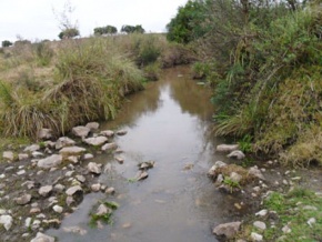 Land for sale in Colonia, Uruguay