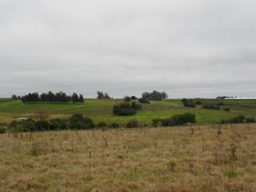 Land for sale in Colonia, Uruguay