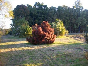 Chacra en venta en Colonia, Uruguay