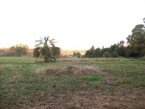 Chacra en venta en Colonia, Uruguay