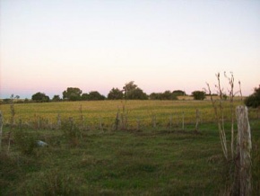 Farm for sale in Colonia, Uruguay