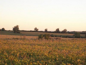 Farm for sale in Colonia, Uruguay