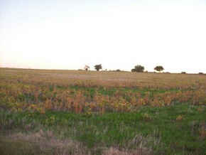 Farm for sale in Colonia, Uruguay