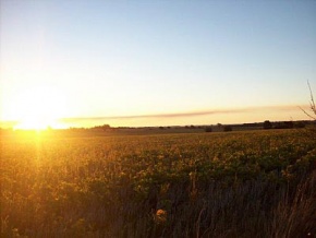 Farm for sale in Colonia, Uruguay