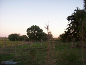 Farm for sale in Colonia, Uruguay