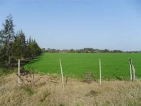 Terreno en venta en Colonia Valdense, Colonia, Uruguay