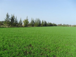 Terreno en venta en Colonia Valdense, Colonia, Uruguay