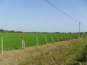 Terreno en venta en Colonia Valdense, Colonia, Uruguay