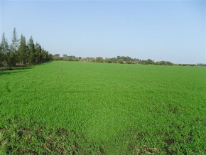 Terreno en venta en Colonia Valdense, Colonia, Uruguay