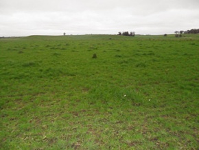 Campo en venta en Uruguay, Campo agricola ganadero en Colonia