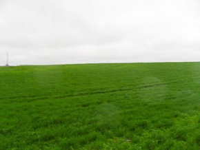 Land for sale in Colonia, Uruguay