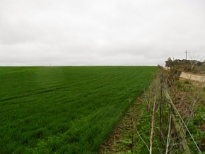 Land for sale in Colonia, Uruguay