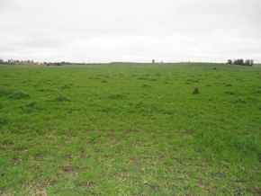 Land for sale in Colonia, Uruguay