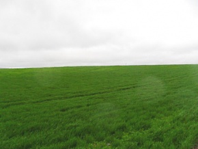 Land for sale in Colonia, Uruguay