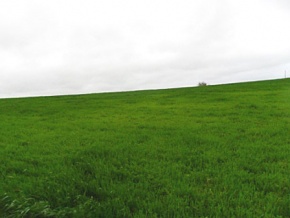 Land for sale in Colonia, Uruguay