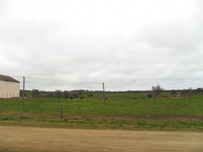 Land for sale in Colonia, Uruguay