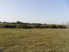 Chacra en venta en Colonia, Uruguay