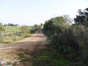 Chacra en venta en Colonia, Uruguay