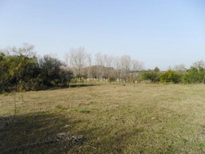 Chacra en venta en Colonia, Uruguay