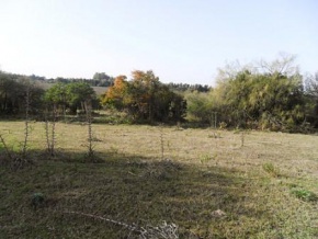 Chacra en venta en Colonia, Uruguay