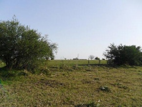 Chacra en venta en Colonia, Uruguay