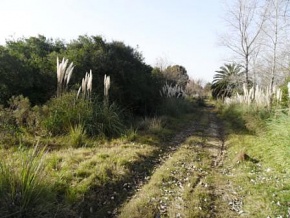 Chacra en venta en Colonia, Uruguay