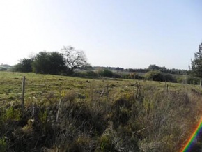 Chacra en venta en Colonia, Uruguay