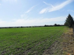 Farm for sale in Colonia, Uruguay