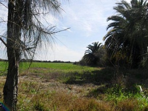 Farm for sale in Colonia, Uruguay