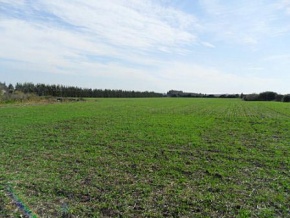 Farm for sale in Colonia, Uruguay