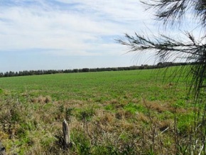 Farm for sale in Colonia, Uruguay
