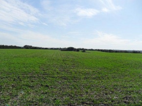 Farm for sale in Colonia, Uruguay