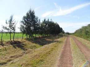 Farm for sale in Colonia, Uruguay